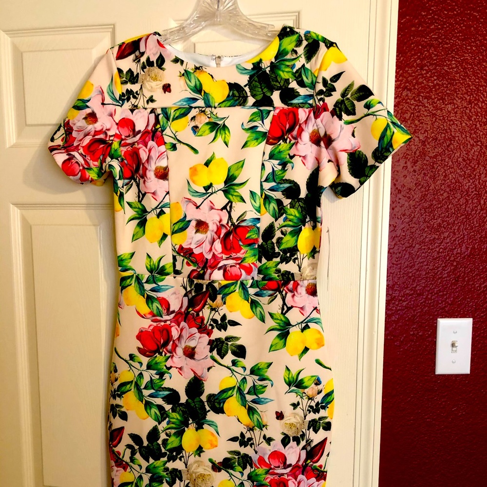 NWT Dress